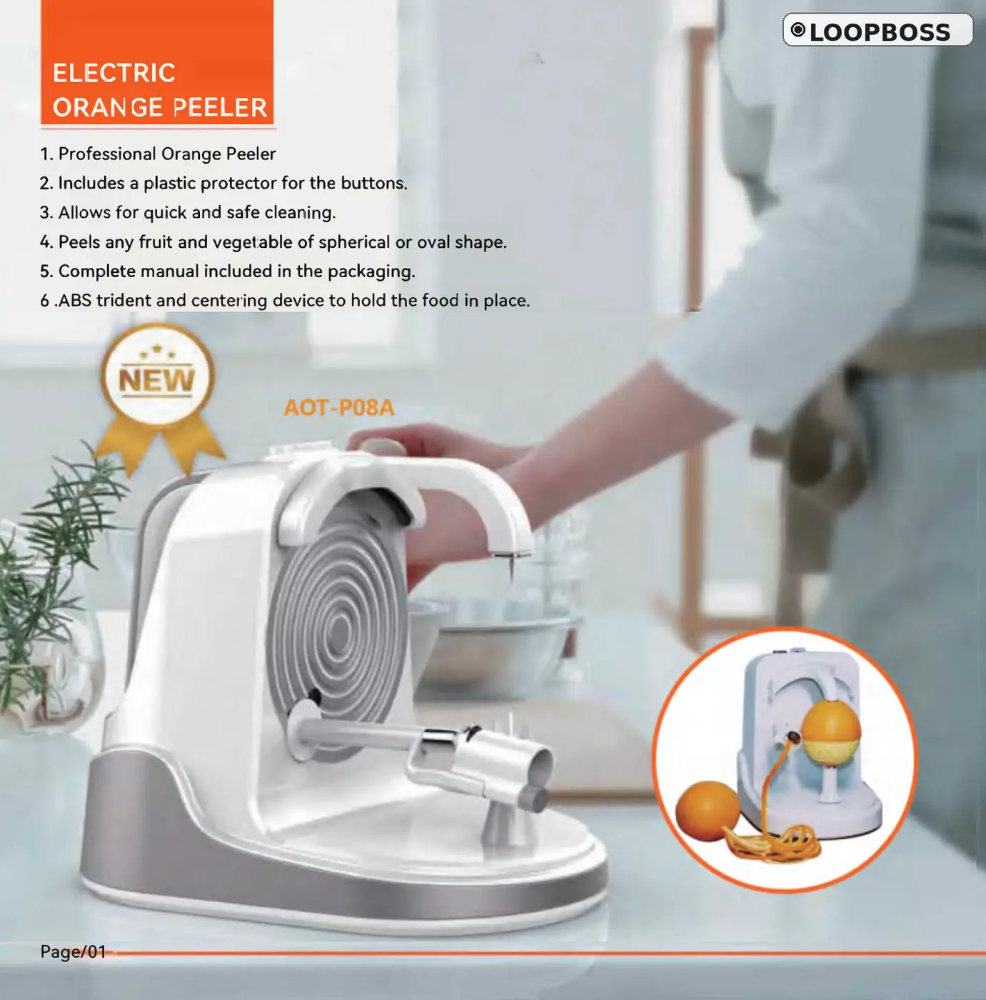 LOOPBOSS digital product page example